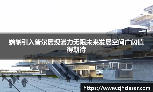 鹈鹕引入普尔展现潜力无限未来发展空间广阔值得期待